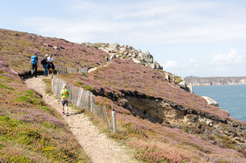 Küstenwanderwege haben natürlich auch immer mal wieder kleine Aufstiege. Ein kleiner Aufstieg