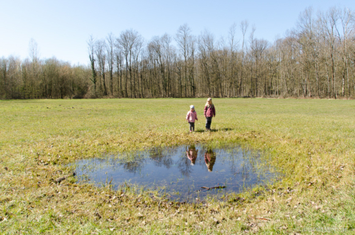 Nein, das ist nicht der Beversee, aber bei uns der Grund für nasse Füße. Pfütze