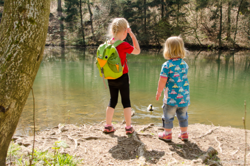 An einem Staubereich des Hasper Bachs gab's Enten, der Klassiker halt. Enten im Teich