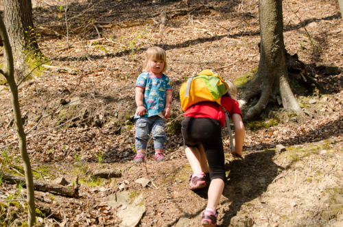 Kletterei im Waldstück Kletterei im Waldstück