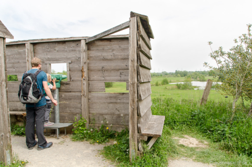 Vom Aussichtshügel schaut man auf die Flutmulde. Ausblick auf die Flutmulde