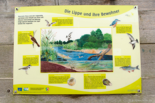 Infotafel am Lippeauenpfad in Hamm Infotafel am Lippeauenpfad in Hamm
