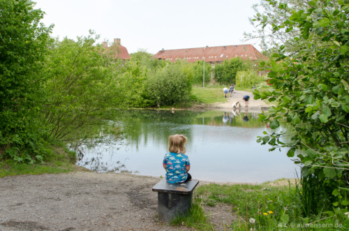 Die Enttäuschung ist groß: Die Lippefähre Lupia ist nicht da. Lippefähre Lupia wegen Corona abgebaut