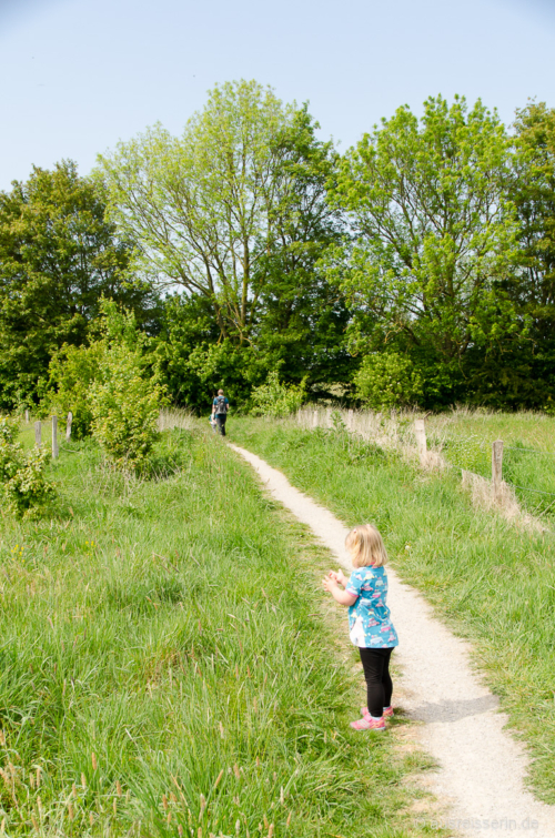Wandern auf dem Lippeauen-Pfad Wandern auf dem Lippeauen-Pfad