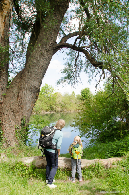 Tierbeobachtung an der Lippe: Der renaturierte Fluss beheimatet viele Arten. Tierbeobachtung an der Lippe