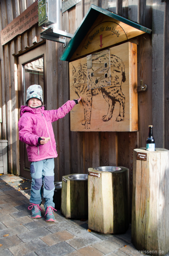 Unsere kleine Wolfspatin hat auch ein Herz für den Luchs und spendet ihr Kleingeld für die Pinselohren. Spende für den Luchs
