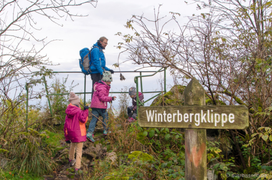 Eine schöne Aussicht auf Bad Harzburg können wir von der Winterbergklippe genießen. Winterbergklippe