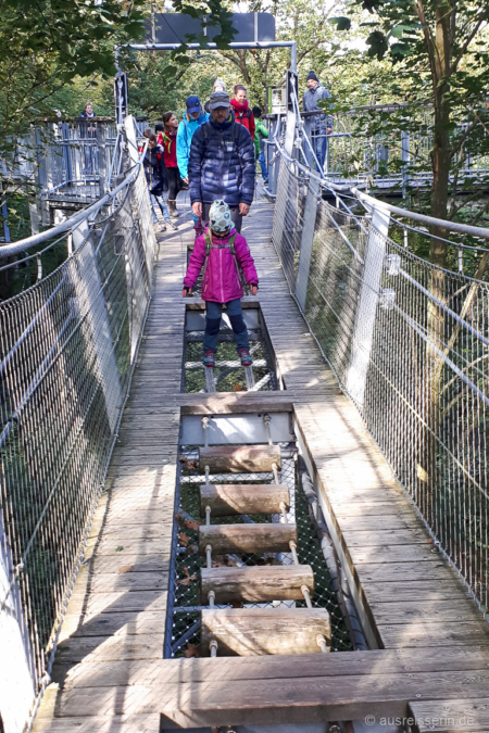 Auf der Abenteuerbrücke sind Balance und Geschicklichkeit gefragt. Abenteuerbrücke