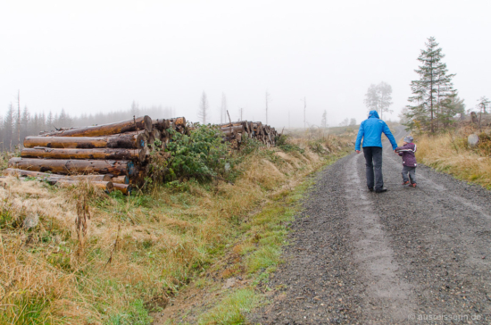Bergauf im Nebel - schön ist anders. Bergauf im Nebel
