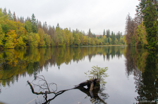 Friedlich schmiegt sich der Silberteich in den Herbstwald. Silberteich