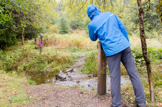 Haaallooo, ist da jemand? Waldtelefon