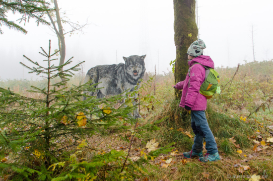 Einige spannende Stationen räumen mit dem Mythos vom bösen Wolf auf. Mythos Wolf