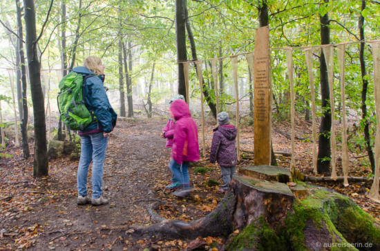 Mit Hilfe solche Zaunattrappen wurde der Wolf früher bei der Treibjagd in die gewünschte Richtung getrieben. Wolfzäune bei der Treibjagd