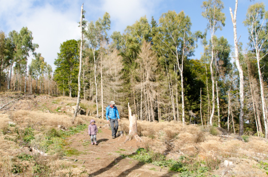 Schöner Abstieg ins Elendstal Schöner Abstieg ins Elendstal