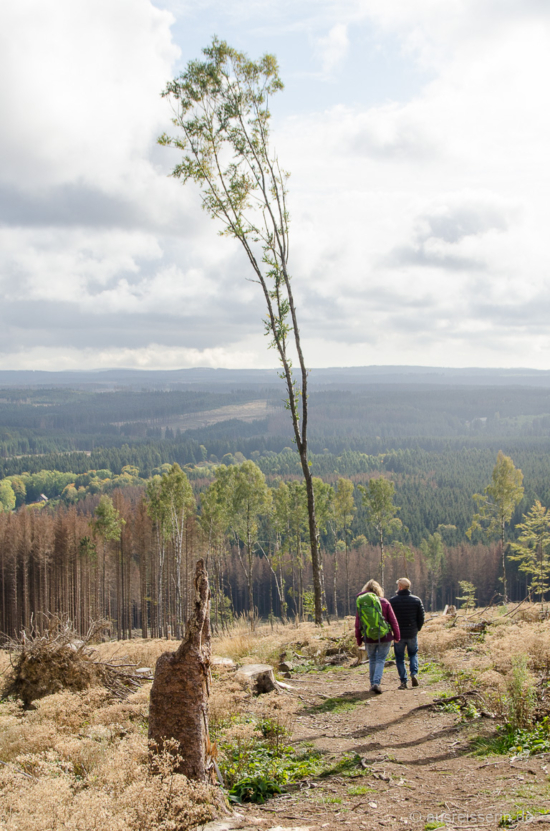 Weiter Ausblick vom Bahrenberg Ausblick vom Bahrenberg