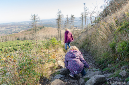 Serpentinen entlang der ehemaligen Wurmbergschanze Serpentinen entlang der Wurmbergschanze