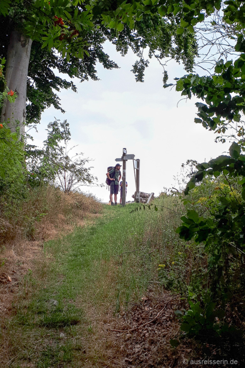 Tagesziel fast erreicht! Tagesziel fast erreicht!