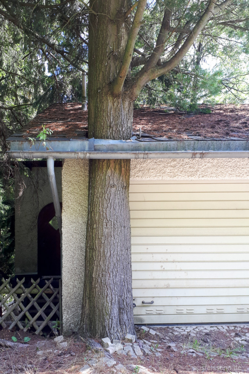 Kuriosität am Wegrand: Die Garage wurde um den Baum herum gebaut. Dach um Baumstamm gebaut