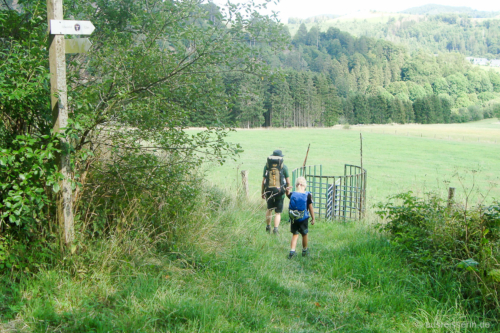 Der Weg führt mitten über eine Kuhweide.