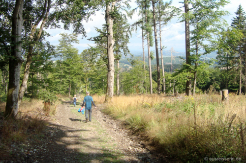 Hinab geht's dann im Laufschritt. Abstieg vom Dommel