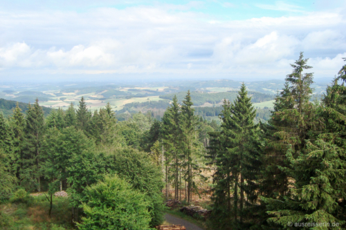 Weitblick vom Dommelturm Weitblick vom Dommelturm