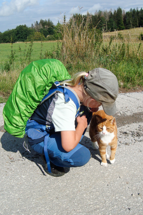 Katzen-Streichel-Pause (danach eine halbe Stunde: Mama, ich will eine Katze haben!) Katzen-Streichel-Pause