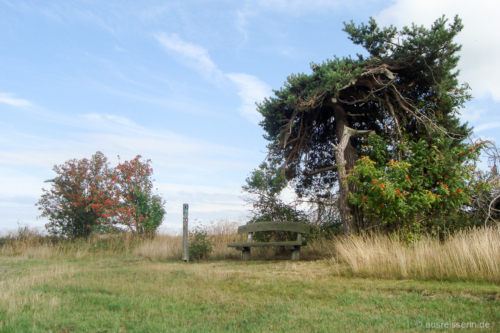Rastbank kurz vorm Ziel Nette Rastbank
