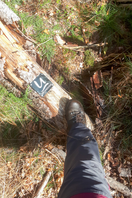 Bei Waldarbeiten wurden die Wegmarkierungen umgeholzt... Wegmarkierung umgeholzt