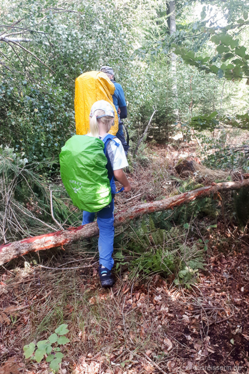 ... aber wir merken einigermaßen flott, dass das nicht der rechte Weg ist. vom Weg abgekommen