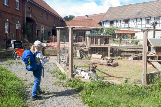 Kaninchengehege (anschließend: "Kann ich Kaninchen haben?") Kaninchengehege