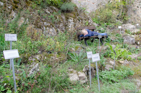 Zen-Modus an! Nach dem steilen Aufstieg zur Burg kann man im Kräutergarten relaxen. Zen-Modus im Kräutergarten