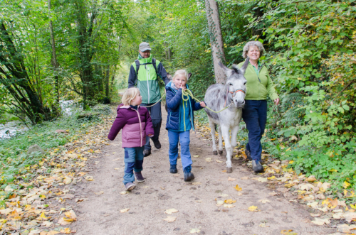 Wir wandern gemütlich mit Frida und Seppel entlang der Pegniz.