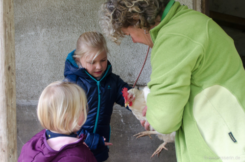 Darf ich mal ein Huhn streicheln? Dem Wunsch meiner Großen kommt Frau Leimberger nach. Huhn streicheln