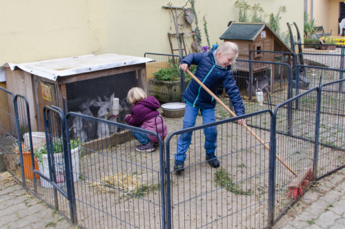Stallausmisten gehört auch dazu: Lotta ist fleißig am Werk.