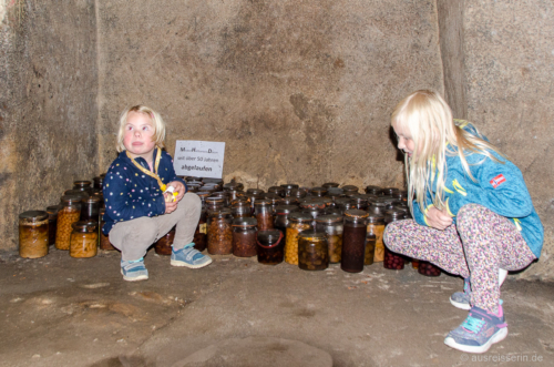 Eingemachtes von "damals": MDH seit über 50 Jahren überschritten Eingemachtes von "damals"