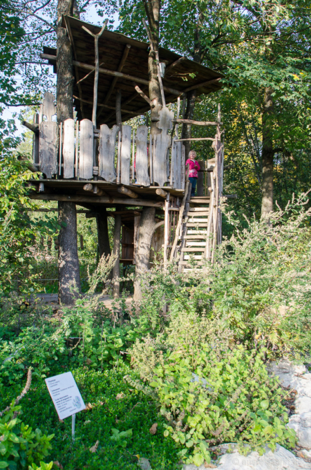 Hinter dem Gräutergarten wartet ein Baumhaus darauf, erklettert zu werden. Baumhaus