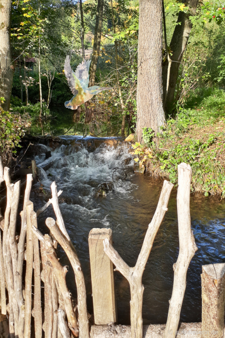 Hier gibt es Infos rund um den am Bach lebenden Eisvogel. Eisvogel