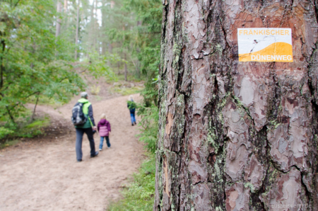 Auf 85,6 km führt der Fränkische Dünenweg durch die Fränkischen Sandwüsten.