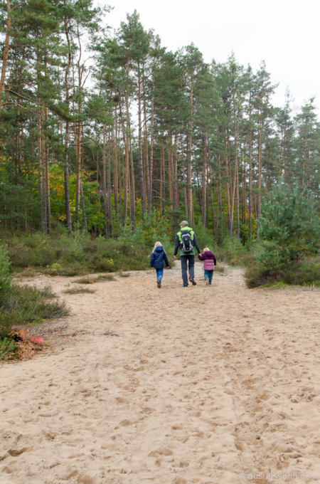 Wandern auf Sandwegen im Nürnberger Land. Wenn hier nun die Heide am Wegrand blüht, wirds richtig bunt! Wandern auf Sandwegen