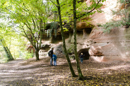 Ausgewaschene Felswände in der Schwarzachklamm Felswände in der Schwarzachklamm