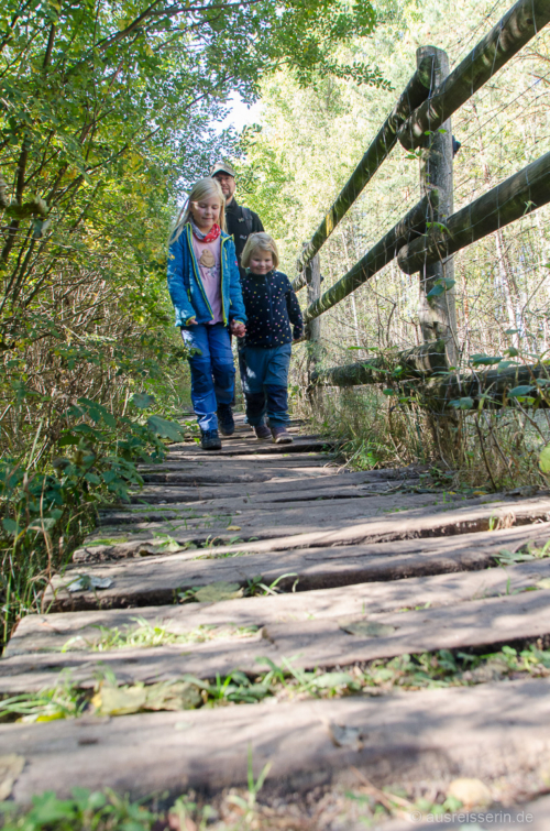 Der Wanderweg führt direkt am Zaun des Wildpferdegeheges im Tennenloher Forst entlang. Wanderweg über Holzbohlen im Tennenloher Forst