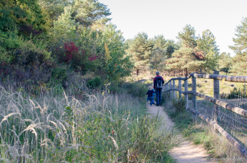 Wandern im Tennenloher Forst Wandern im Tennenloher Forst