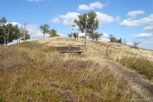 Blick auf den "Gipfel" des Osterkopf. Gipfel des Osterkopf
