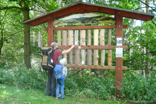 Waldlehrpfad: Bäume am Stamm erkennen Waldlehrpfad: Bäume am Stamm erkennen